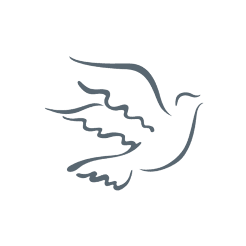 Run for Peace Logo